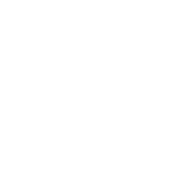 Icon Telefon